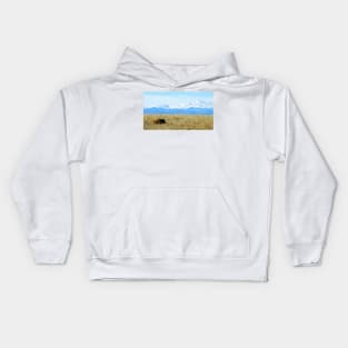 Lone Buffalo watching the Rocky Mountains Kids Hoodie